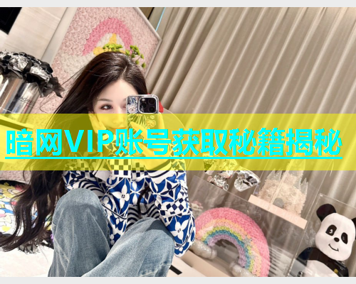 暗网VIP账号获取秘籍揭秘