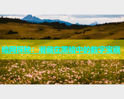 暗网探秘：潜藏在黑暗中的数字宝藏