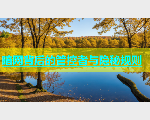 暗网背后的管控者与隐秘规则
