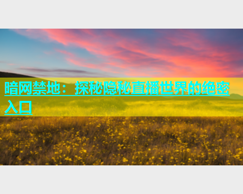 暗网禁地：探秘隐秘直播世界的绝密入口