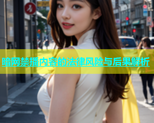 暗网禁播内容的法律风险与后果解析
