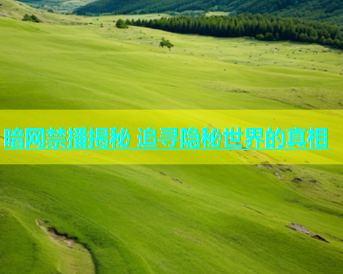暗网禁播揭秘 追寻隐秘世界的真相