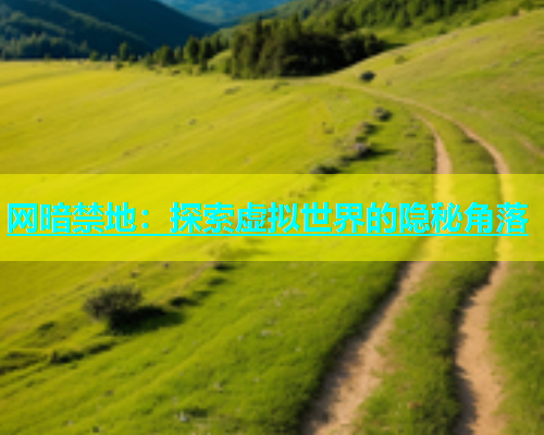 网暗禁地：探索虚拟世界的隐秘角落