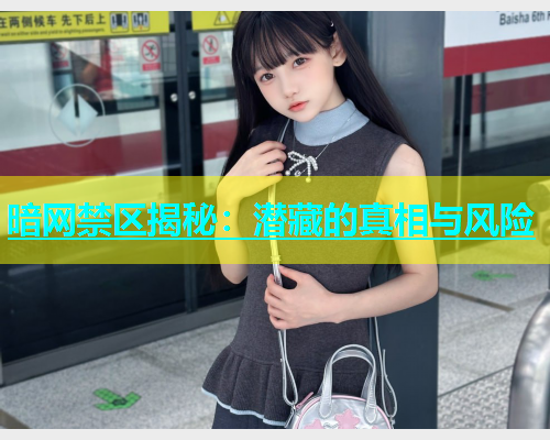 暗网禁区揭秘：潜藏的真相与风险