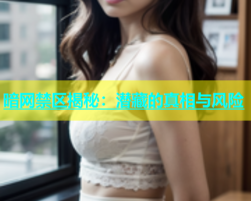暗网禁区揭秘：潜藏的真相与风险