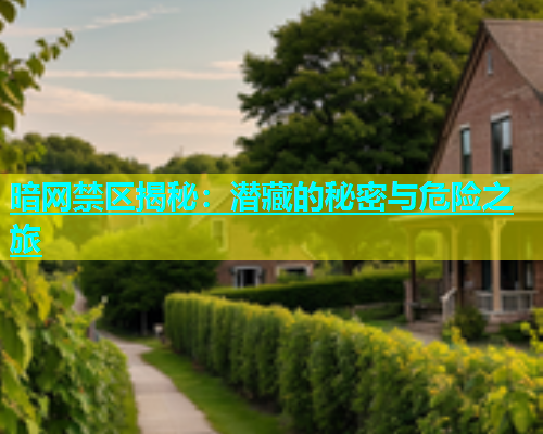 暗网禁区揭秘：潜藏的秘密与危险之旅
