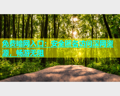 免费暗网入口：安全匿名访问深网资源，畅游无阻