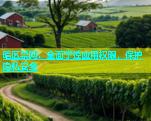 暗区禁网:全面掌控应用权限,保护隐私安全 暗区禁网:全面掌控应用权限,保护隐私安全