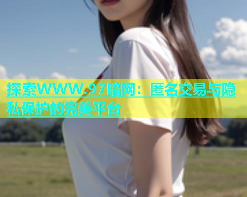 探索WWW.97暗网：匿名交易与隐私保护的完美平台