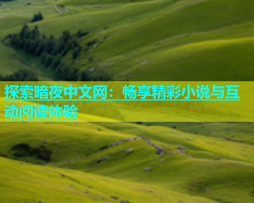 探索暗夜中文网：畅享精彩小说与互动阅读体验