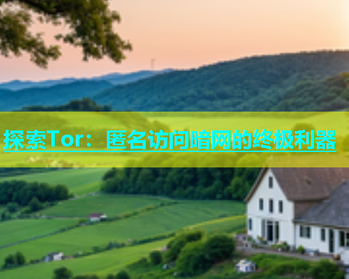 探索Tor：匿名访问暗网的终极利器