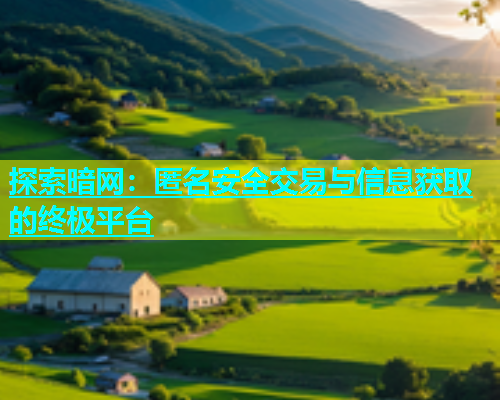 探索暗网：匿名安全交易与信息获取的终极平台