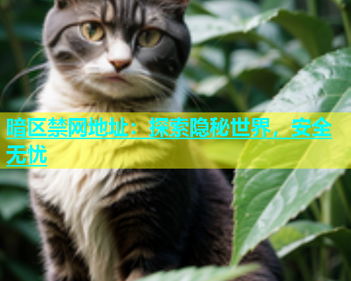 暗区禁网地址：探索隐秘世界，安全无忧