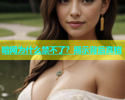 暗网为什么禁不了？揭示背后真相