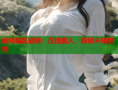暗网禁区破解：在线直入，解锁未知世界