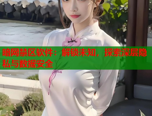 暗网禁区软件：解锁未知，探索深层隐私与数据安全