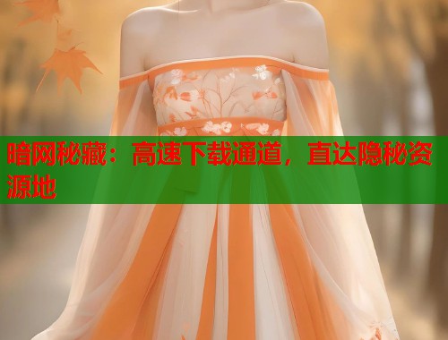 暗网秘藏：高速下载通道，直达隐秘资源地