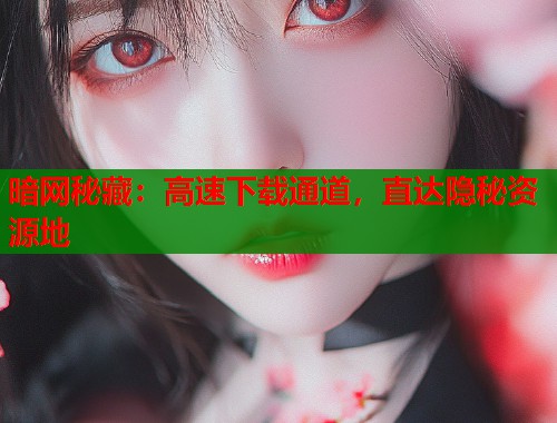 暗网秘藏：高速下载通道，直达隐秘资源地