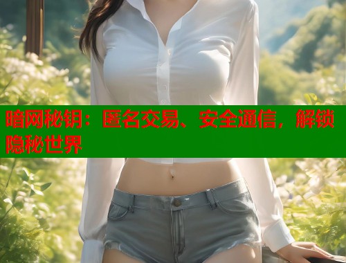 暗网秘钥：匿名交易、安全通信，解锁隐秘世界