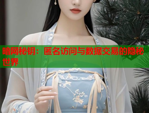 暗网秘钥：匿名访问与数据交易的隐秘世界
