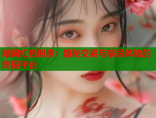 暗网红色刑房：隐秘交易与禁忌体验的终极平台