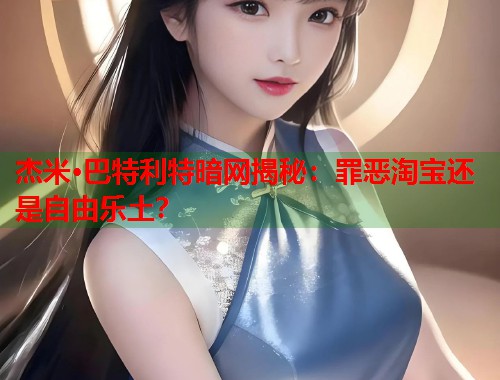 杰米·巴特利特暗网揭秘：罪恶淘宝还是自由乐土？