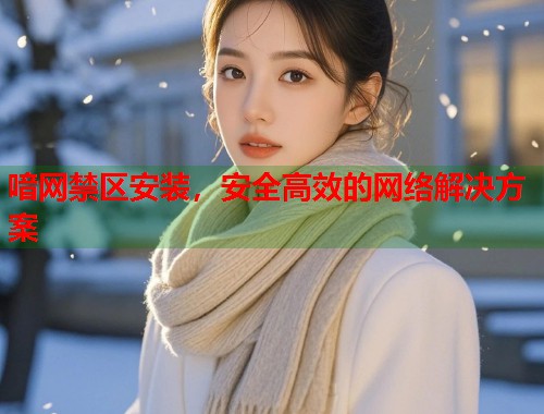 喑网禁区安装，安全高效的网络解决方案