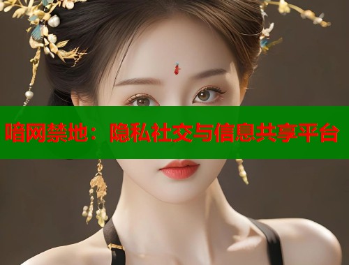 喑网禁地：隐私社交与信息共享平台