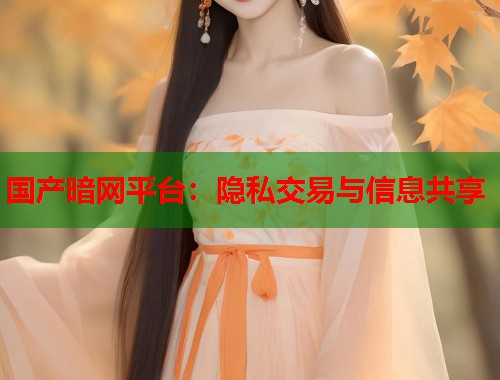 国产暗网平台：隐私交易与信息共享
