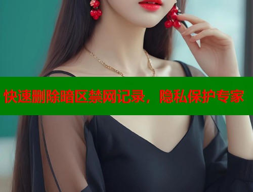 快速删除暗区禁网记录，隐私保护专家