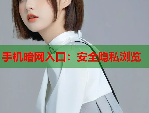 手机暗网入口：安全隐私浏览