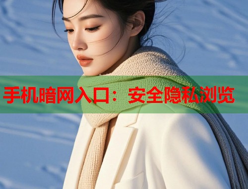 手机暗网入口：安全隐私浏览