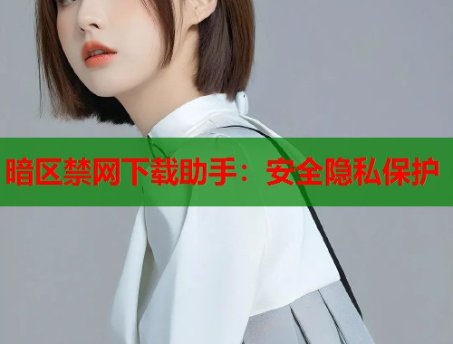 暗区禁网下载助手：安全隐私保护