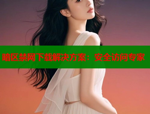 暗区禁网下载解决方案：安全访问专家