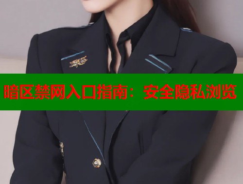 暗区禁网入口指南：安全隐私浏览