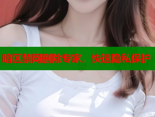 暗区禁网删除专家，快速隐私保护