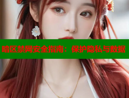暗区禁网安全指南：保护隐私与数据