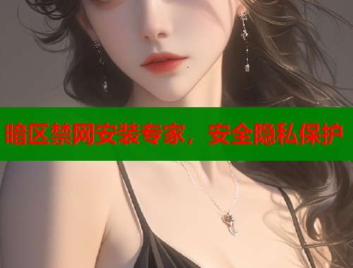 暗区禁网安装专家，安全隐私保护