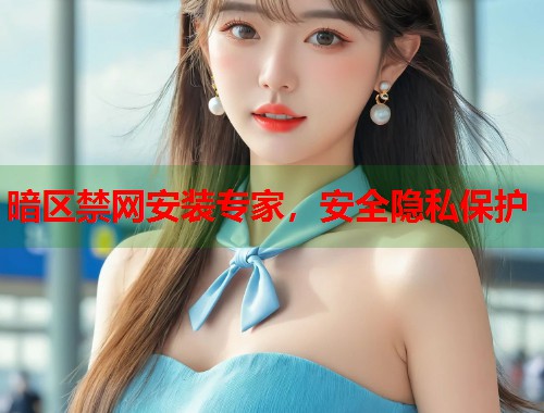 暗区禁网安装专家，安全隐私保护