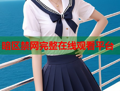 暗区禁网完整在线观看平台