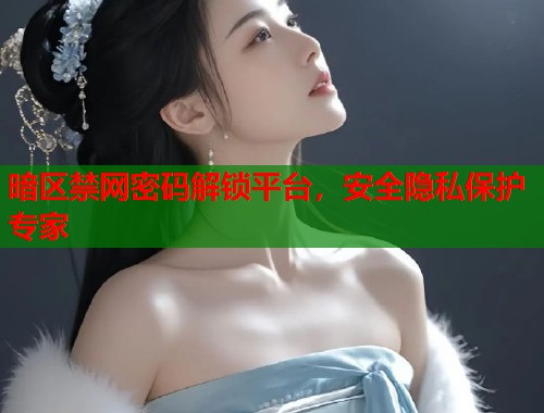暗区禁网密码解锁平台，安全隐私保护专家