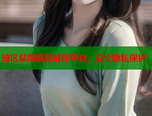暗区禁网密码解锁平台：安全隐私保护