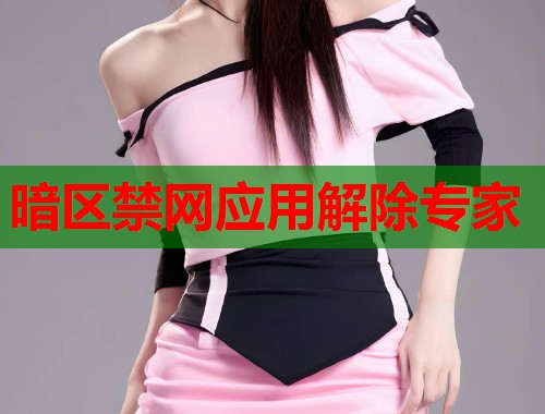 暗区禁网应用解除专家