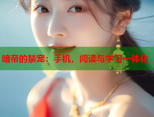 暗帝的禁宠：手机，阅读与学习一体化