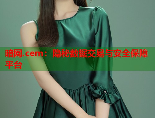 暗网.cem：隐秘数据交易与安全保障平台