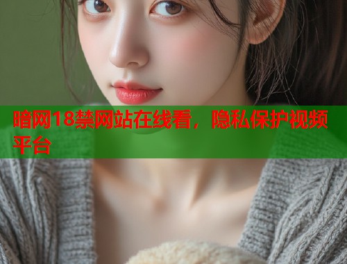暗网18禁网站在线看，隐私保护视频平台