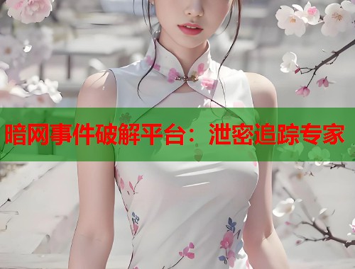 暗网事件破解平台：泄密追踪专家