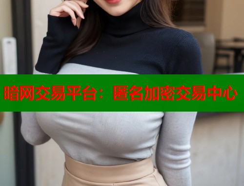 暗网交易平台：匿名加密交易中心