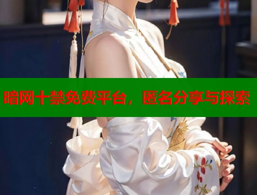 暗网十禁免费平台，匿名分享与探索