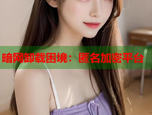 暗网卸载困境：匿名加密平台